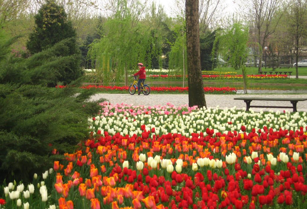 Bursa Soğanlı Botanik Park 2006 by Mehmet ISIK