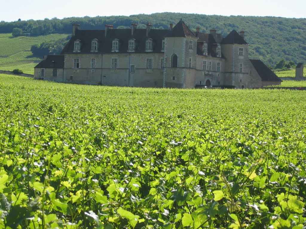 Clos Vougeot by Charles Duquesnoy