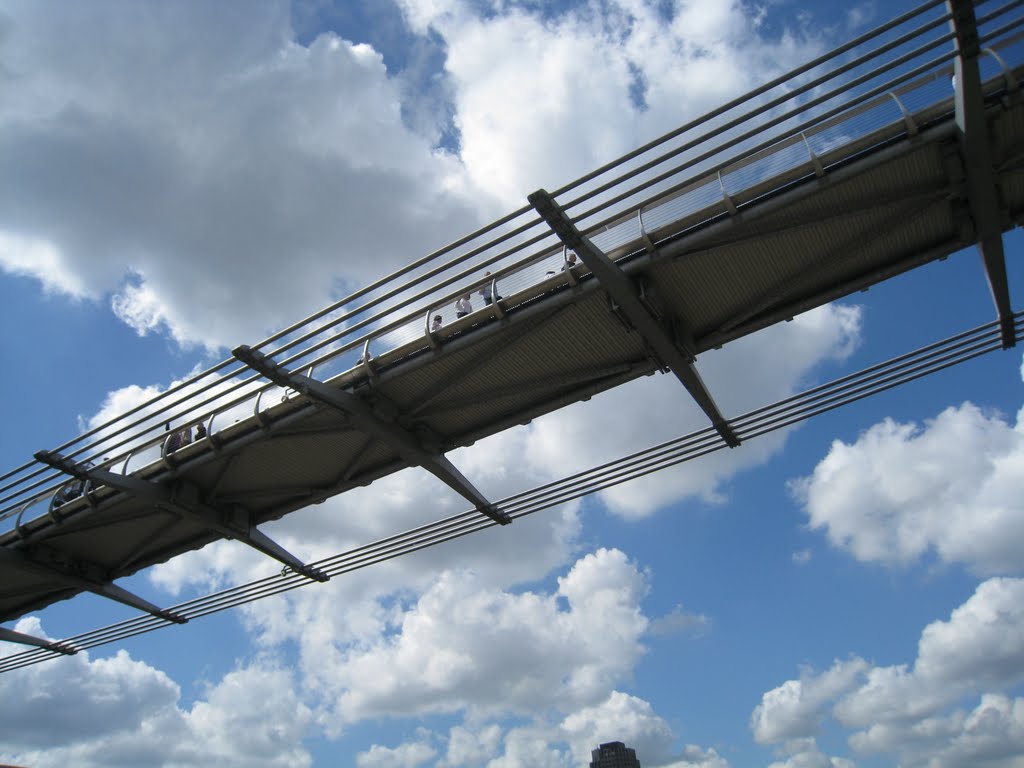 Millennium Bridge by W!m van Dongen