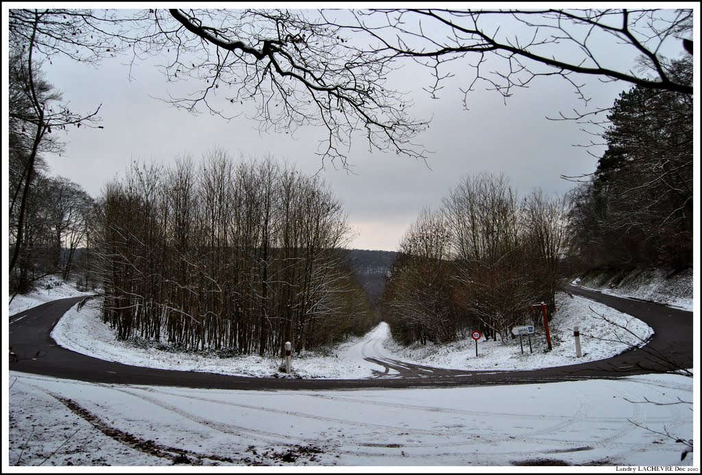 180° de Beauval, en hiver 2010 ! by Landry Lachèvre