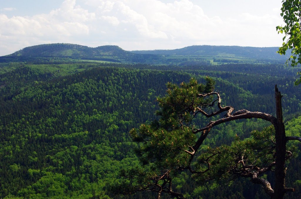 Výhled z Koruny na Hejšovinu (Szczeliniec Wielki) by Marek.Sven