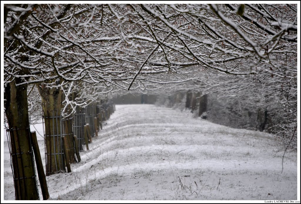 Chemin hivernal by Landry Lachèvre