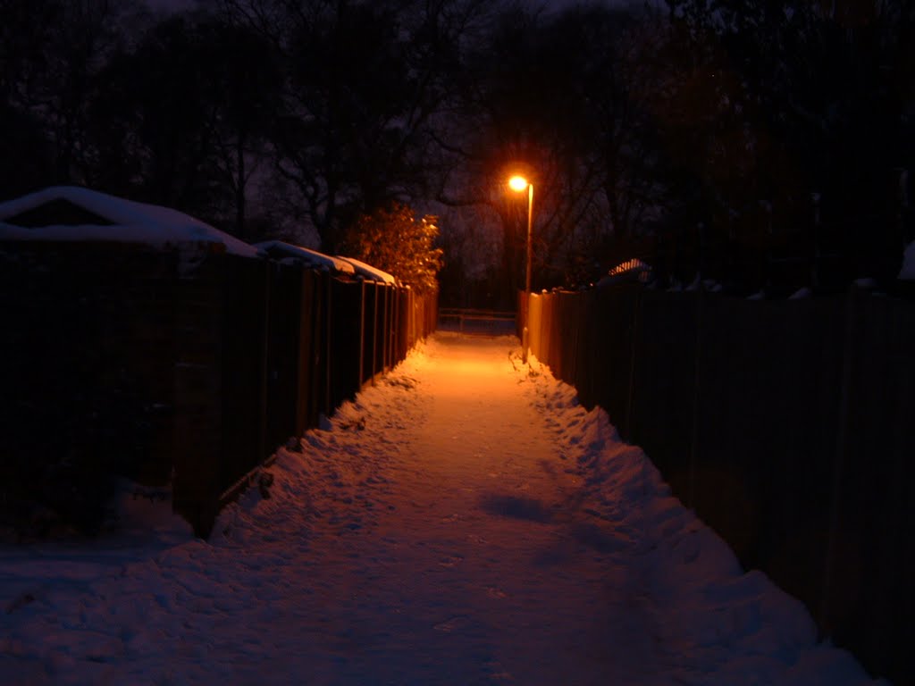 Snowy Footpath by Rogue T Cat