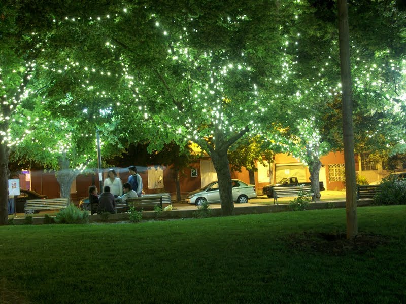 Plaza De Buin, Chile by Nelson Pérez