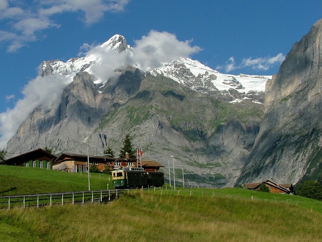 Grindelwald by DONALD