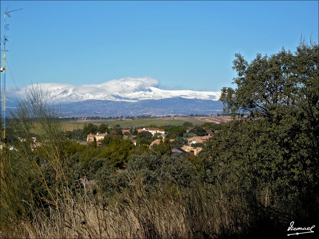 101203-02 VILLAVICIOSA DE ODON. EL BOSQUE by VICMAEL