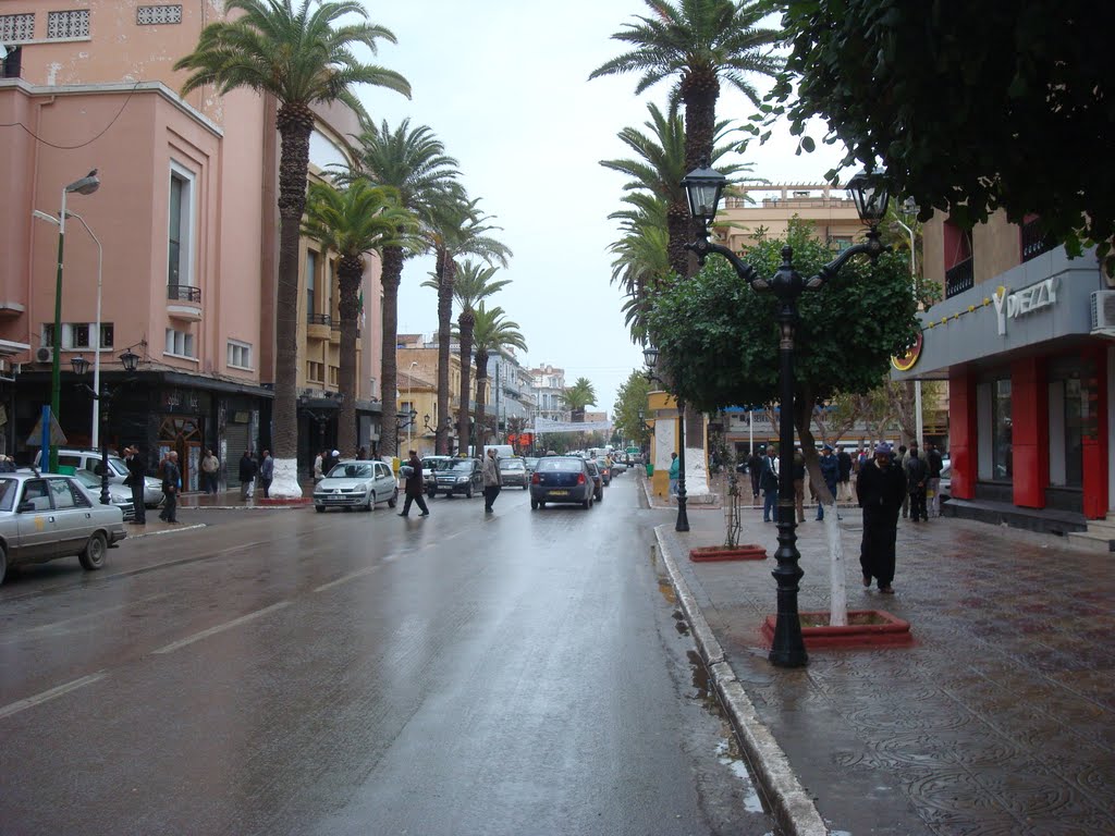 Sidi bel abbes by n harry