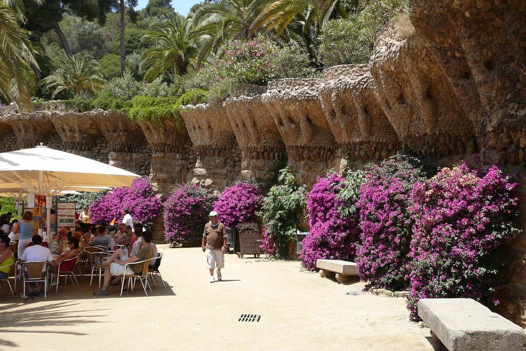 PARQUE GUELL by artek