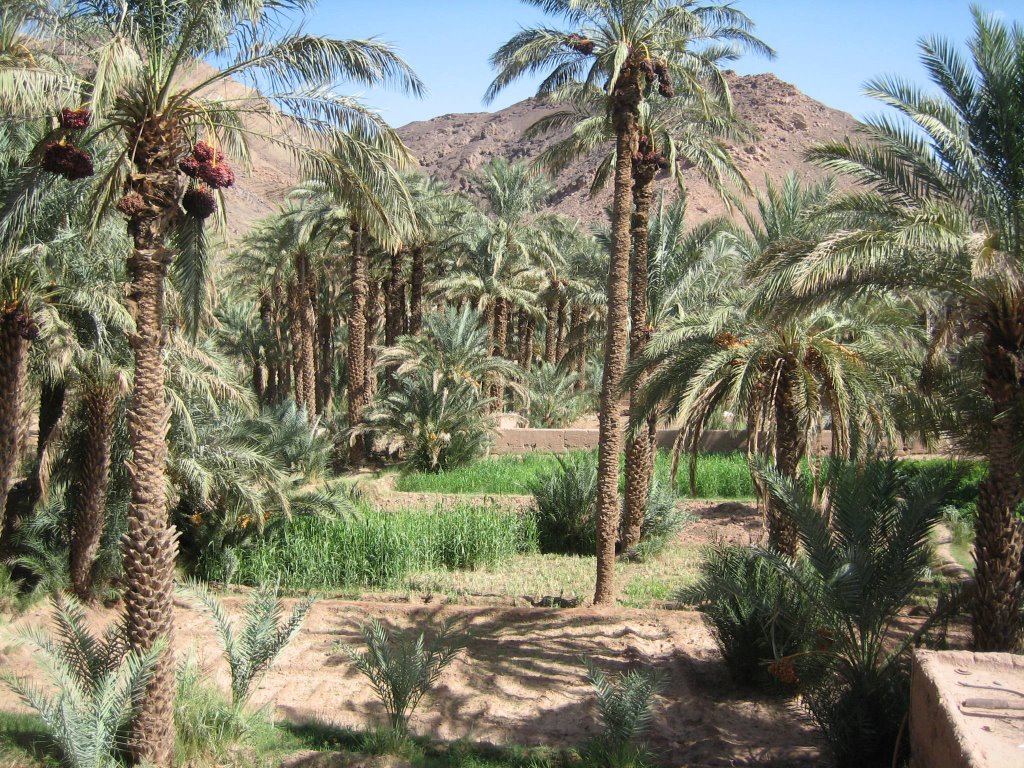 Palais Asmaa - Zagora by Jeremy Bourgouin