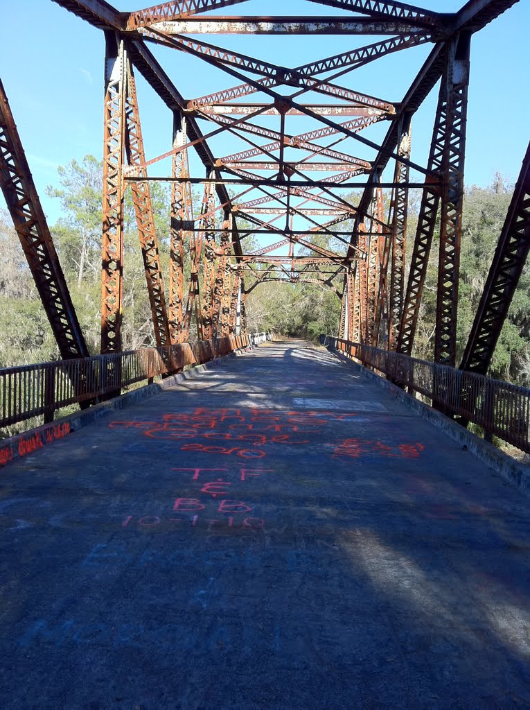 Old US 129 Bridge over Suwannee River taken on 12-03-2010 by NorthFLSgt