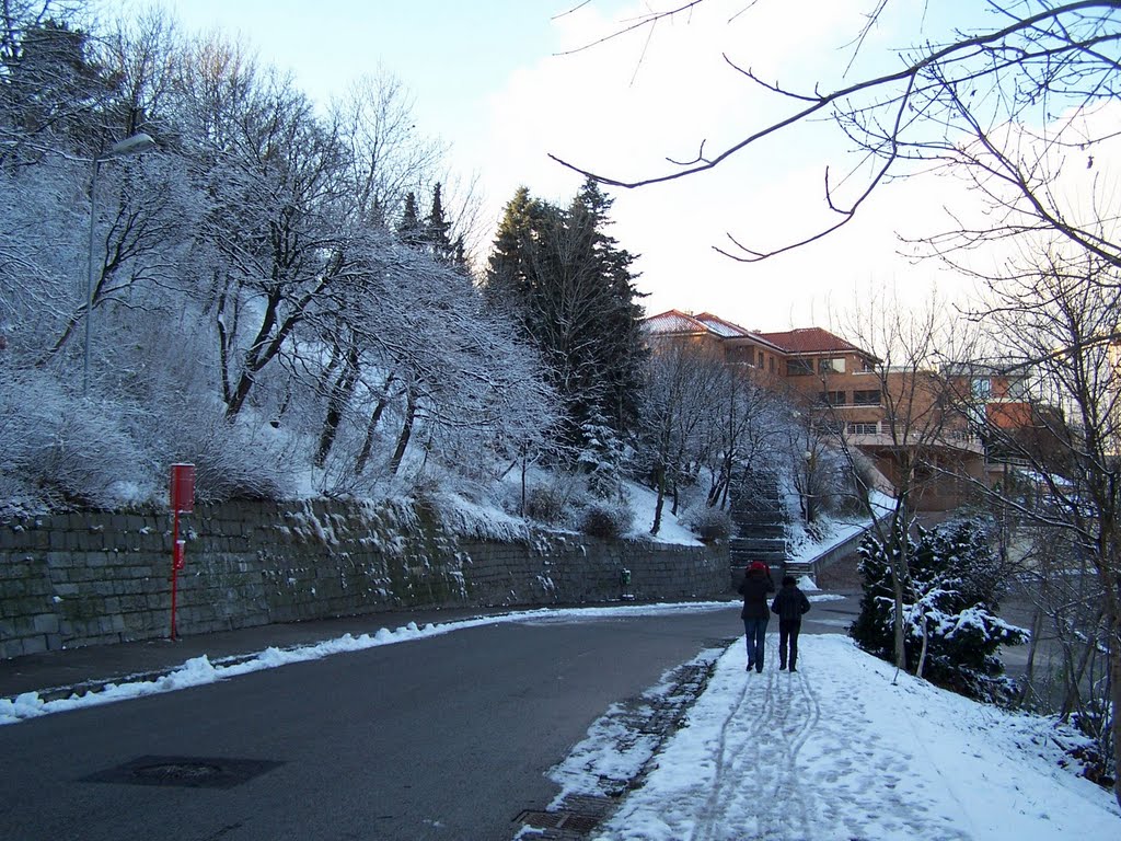 Winter time under Slavín by Bibiana Papp