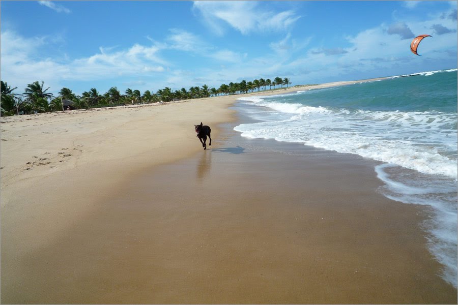 Best place to take dog for a walk in Barra do Cunhau by barra do cunhau