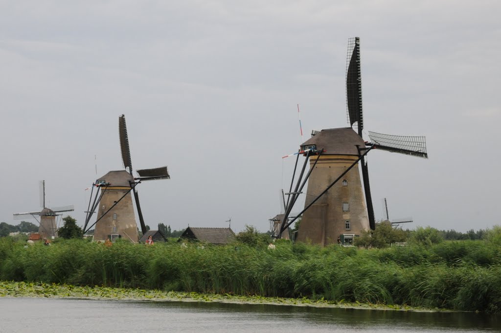 Mulini a Kinderdijk by Riccardo Fascio