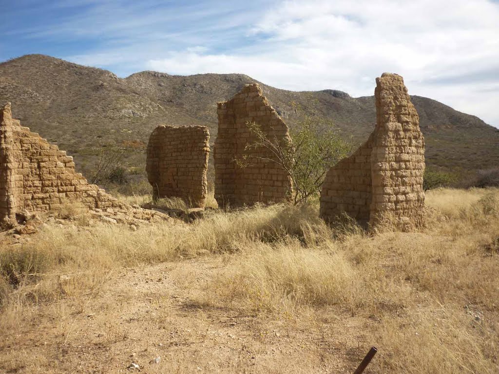 Musso Adobe by Bill Cook