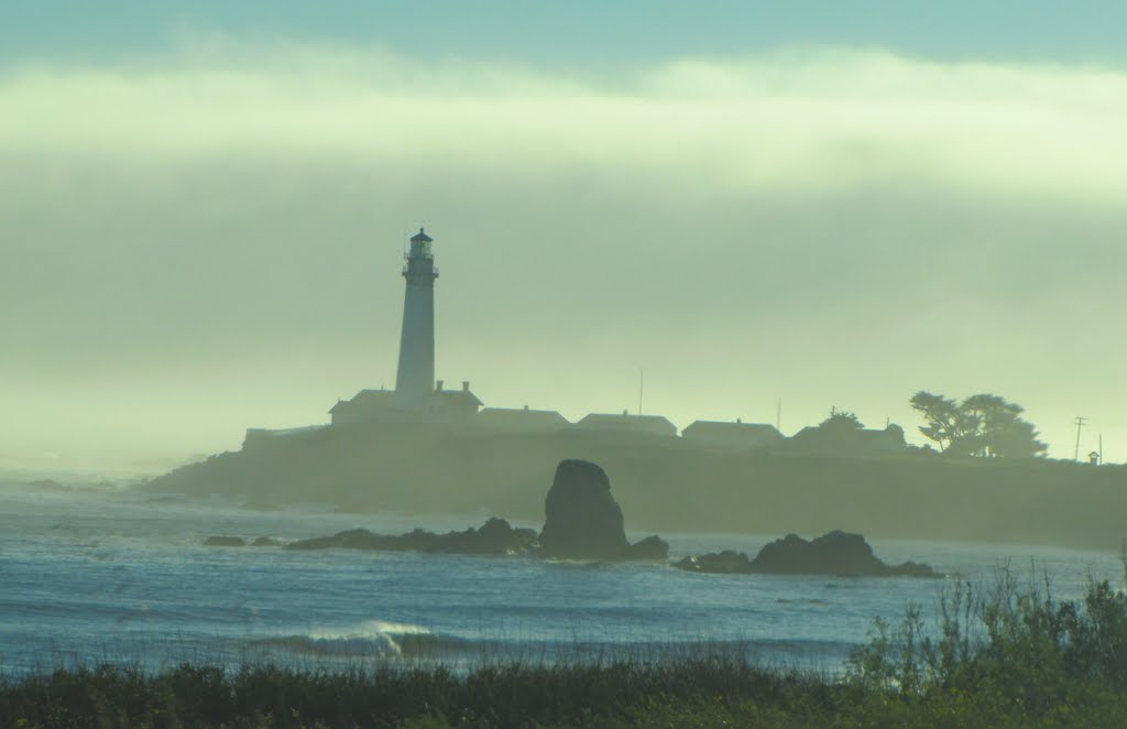 Pigeon Point Lighthouse by NyDogluver