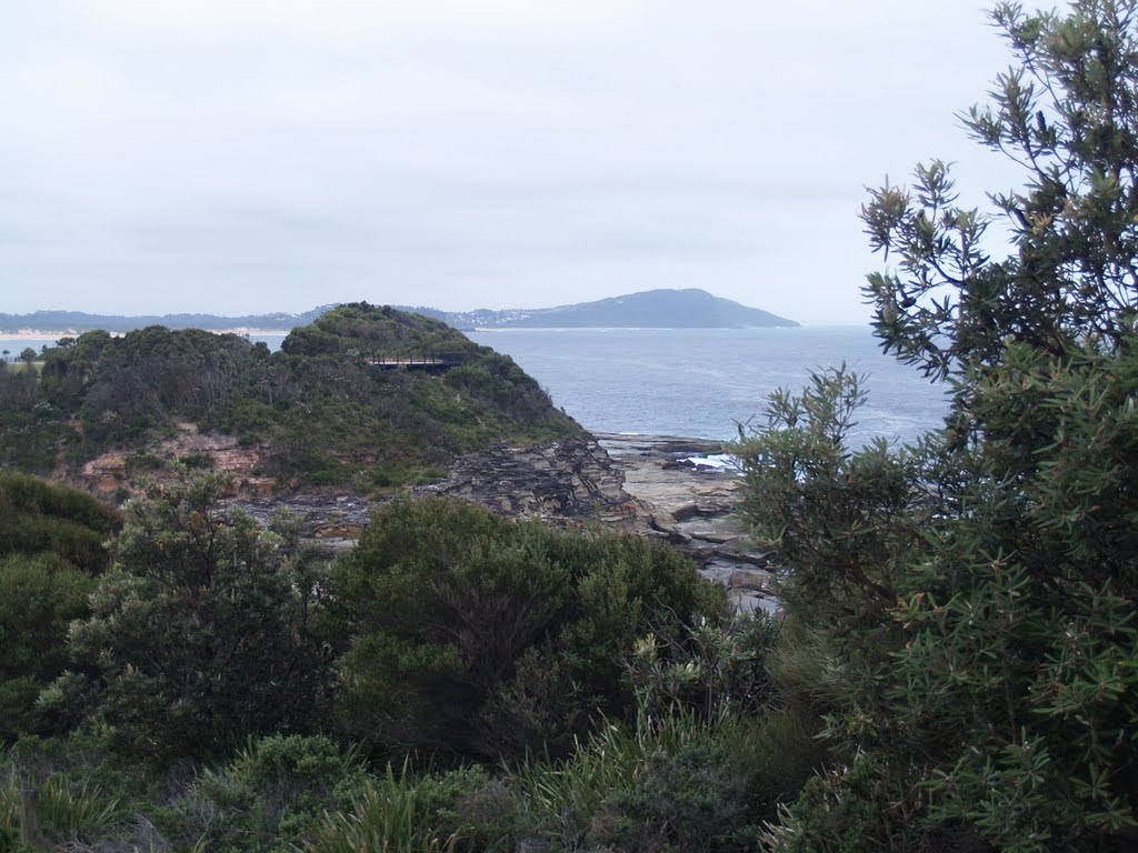 Terrigal Head Land NSW by amgaunt69