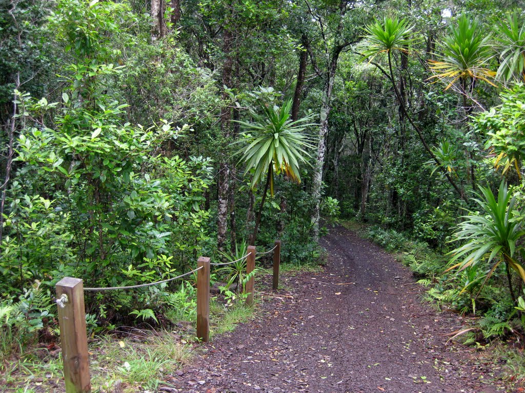 Walking Track by TheDoc-AUS