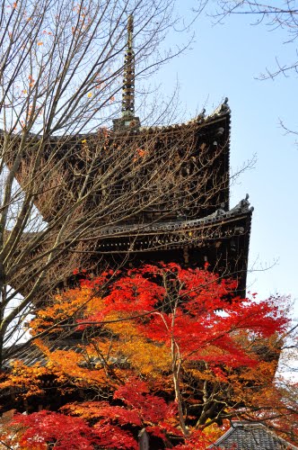 Late fall Shinnyo-Do Temple by kakkyo