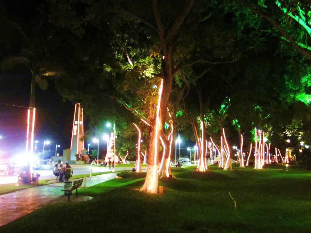 El Parque de la Bandera en Diciembre. by holachetumal