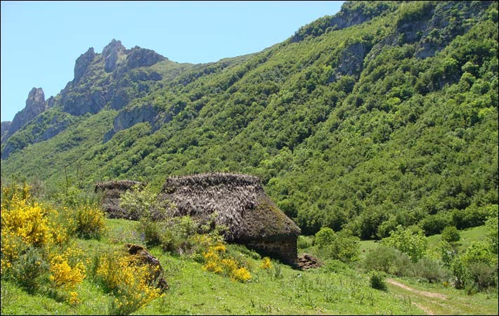 Braña de la Campa de Arriba by xino2003