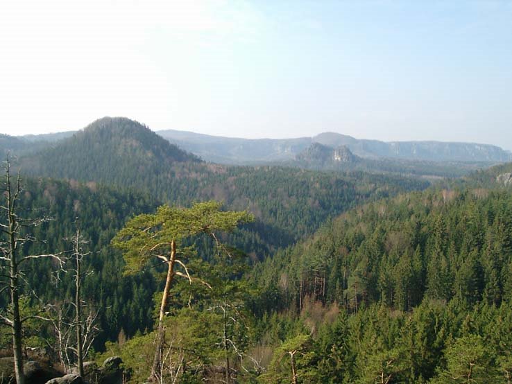 Blick vom Kleinstein in Richtung Affenstein by Dietmar Schubert