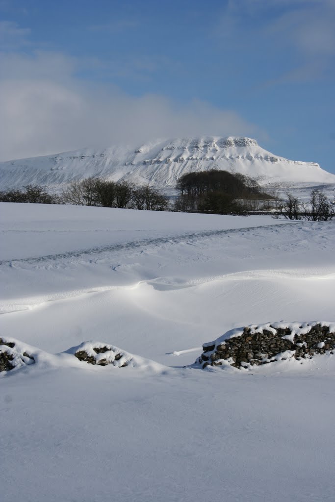 Pen-y-ghent by Dennis Shevelan