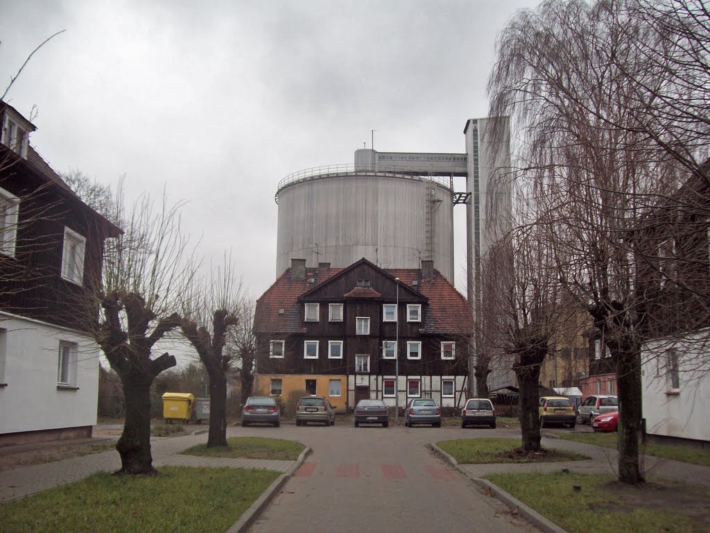 Śmiłowska Street by headder