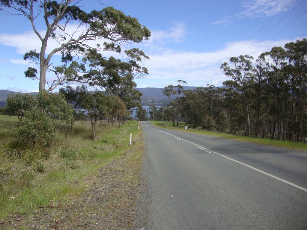 Road to the Ferry by Thomas Brummel