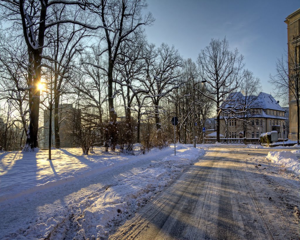 Kaßberg Hohestrasse by T.Nitsche