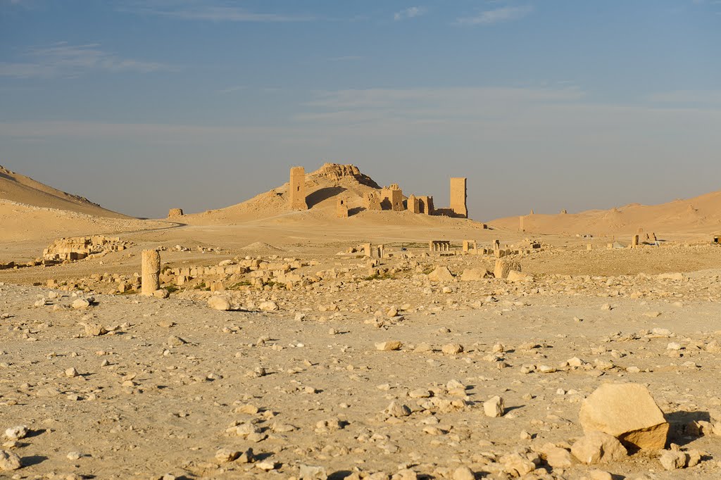 Palmyra, Syria by Inostranec