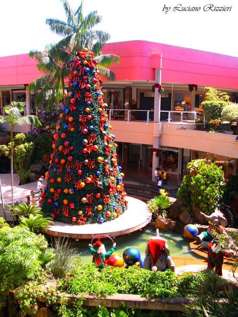 Árvore de Natal no Shopping Galleria -Foto:Luciano Rizzieri by Luciano Rizzieri