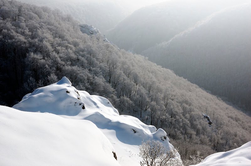 Winter view from Kršlenica by stan_nö