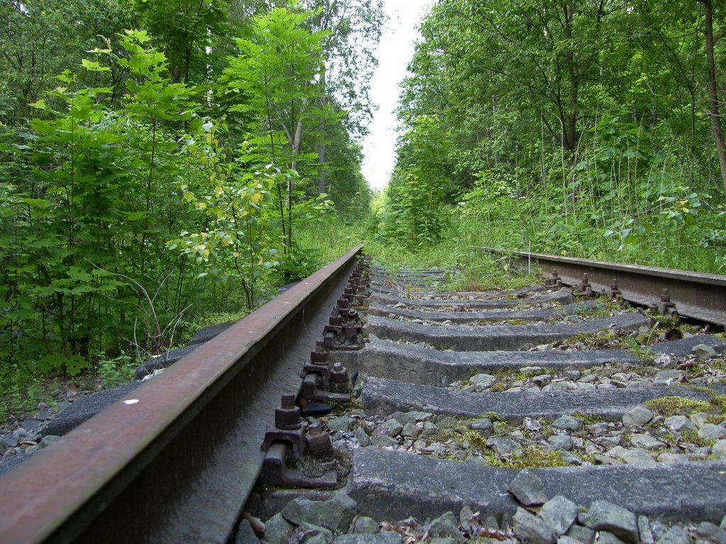 Заброшенная железная дорога / Abandoned railway by Андрей Парфенов