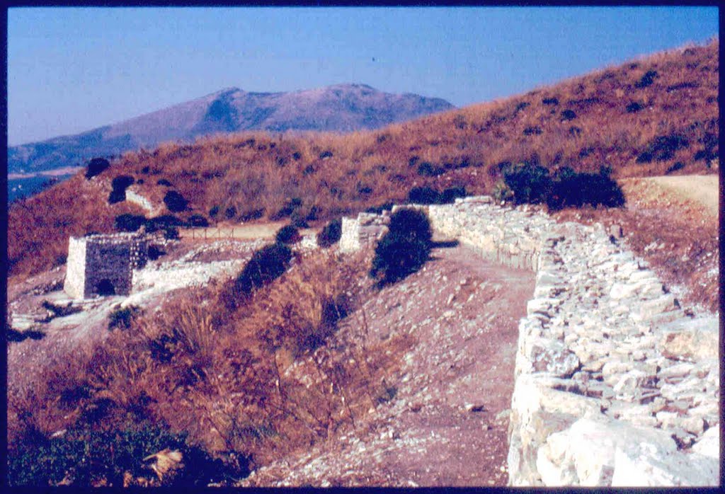 Mura di Segesta (1994) by © Gregorio Crugliano