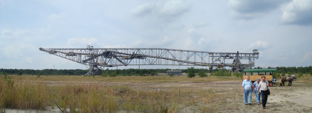 Förderbrücke F 60 bei Lichterfeld- Schacksdorf by Christa Jänisch