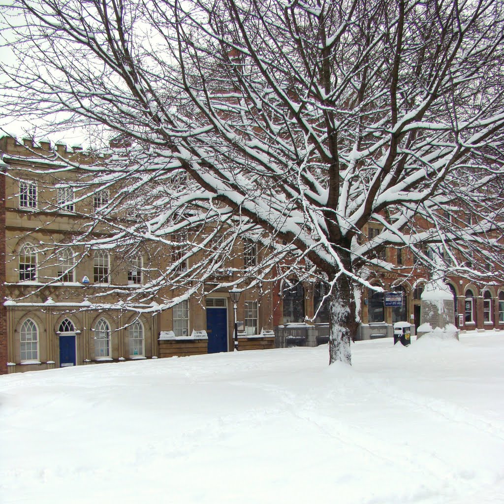 Snowy tree in Sheffield Cathedral church yard with East Parade buildings behind, Sheffield S1 by sixxsix