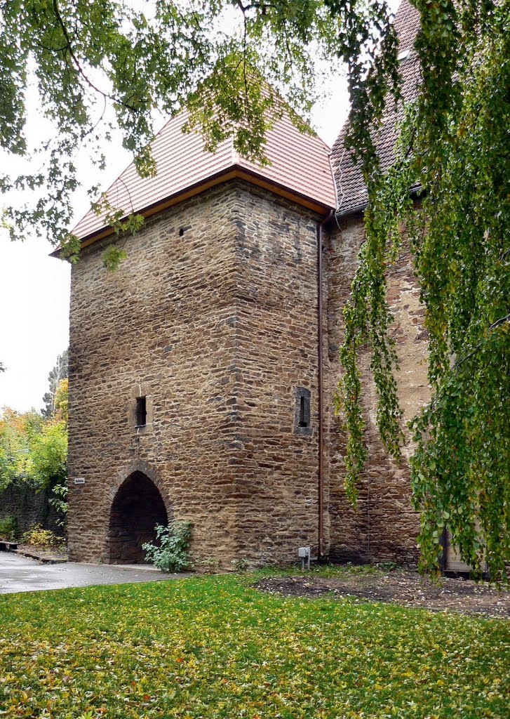 Freiberg (SN) - Der Kalkturm am Kornhaus by Thomas Eichler