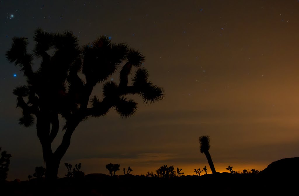 Joshua Tree National Park by Jason Kim