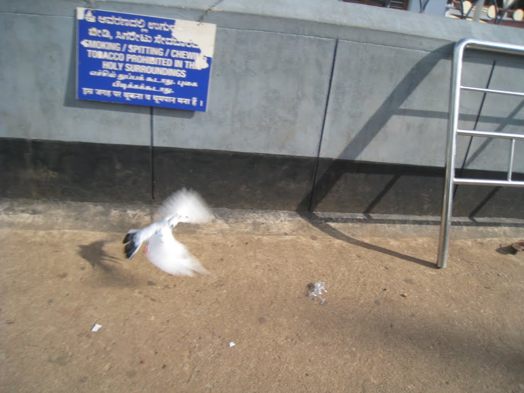 Landing procedures by Sankar Swaminathan