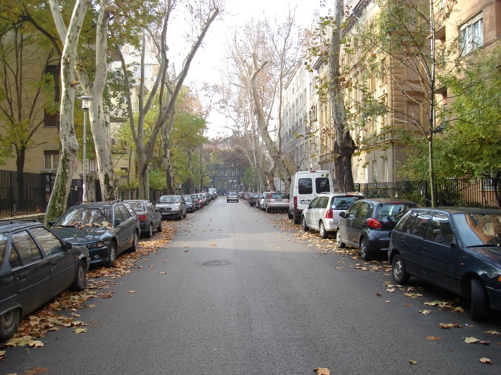 Budapest, Abonyi utca by László Fodor