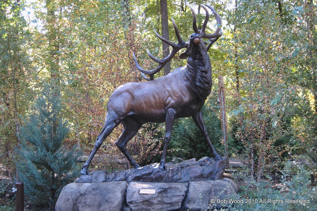 Statue on the Teton Trek @ Memphis Zoo by WanderingUK