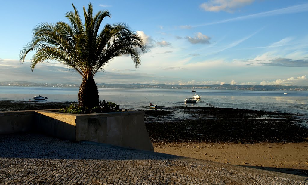 Tejo - vista da Av. Dom Manuel I by Dino Correia