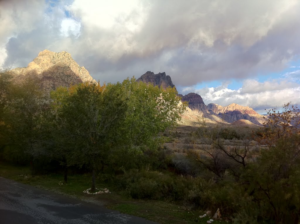 View from Bonnie Springs Motel by scenographer