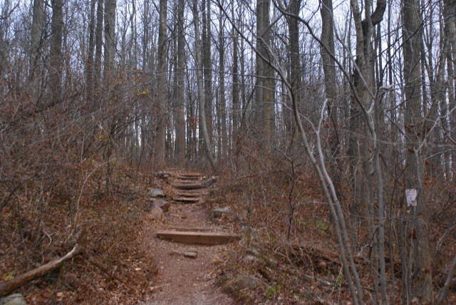 Boone Trail at French Creek State Park by EHJ666