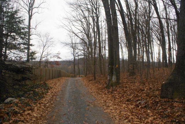 Horse Shoe Trail at Hopewell Furnace National Historic Site by EHJ666