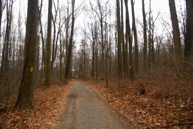 Horse Shoe Trail at Hopewell Furnace National Historic Site by EHJ666