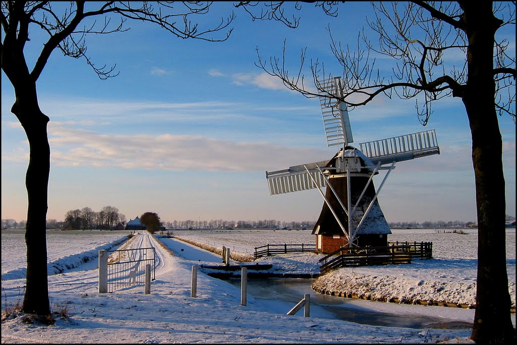 Poldermolen "Witte Lam"" by Teunis Haveman