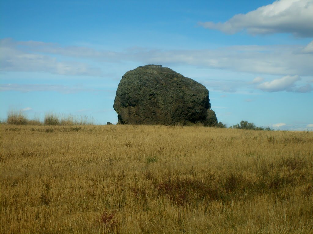 The Mansfield Erratic by Cowboy Mark Nitchman