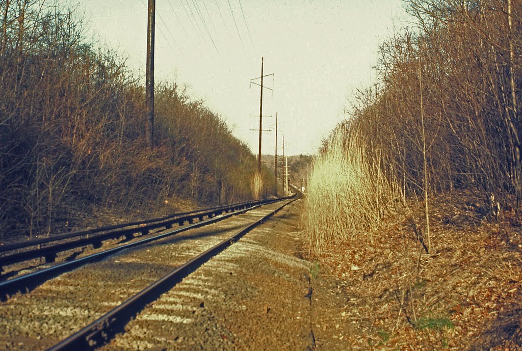 Eastbound LIRR Tracks, Great Neck, NY by bobbudi