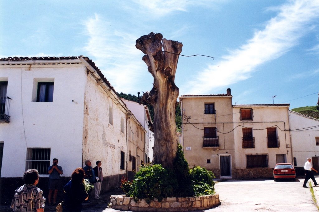 Old Tree By Church by Alan T.